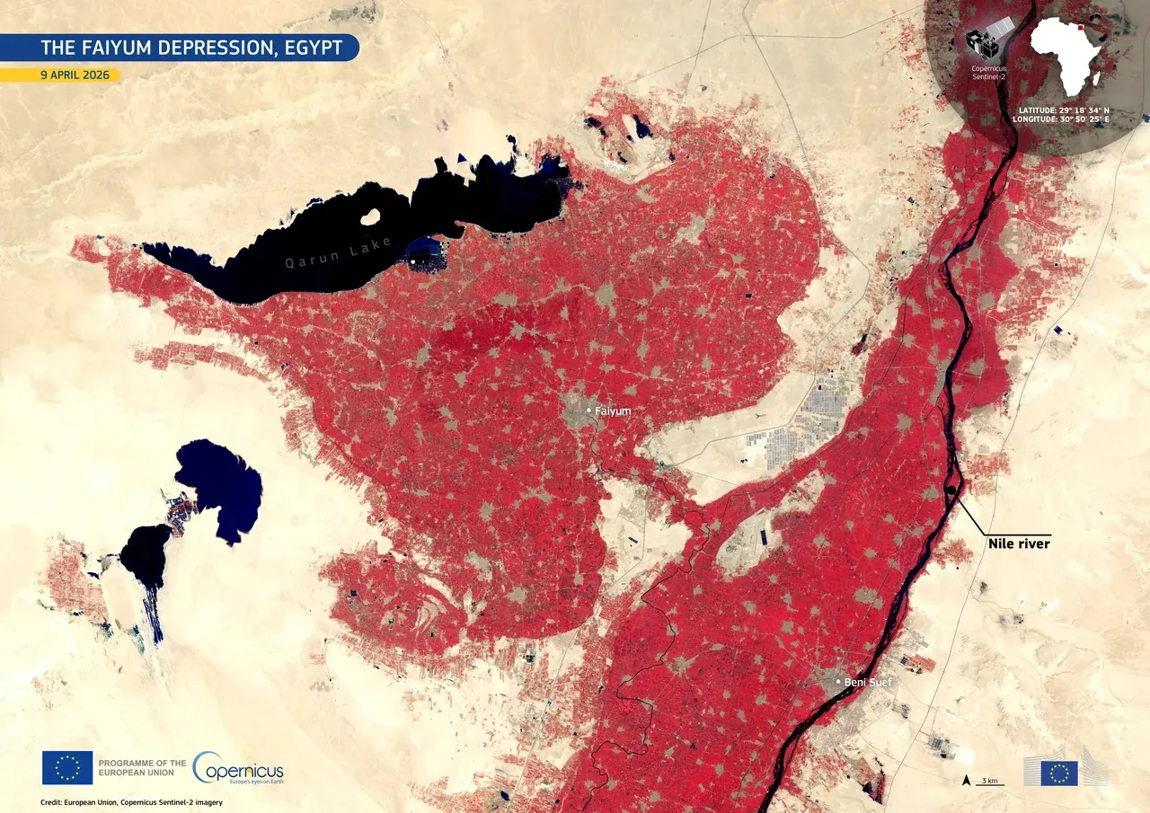 Imagen de satélite Copernicus en falso color de la depresión de Fayoum, el lago Qarun y las tierras de cultivo