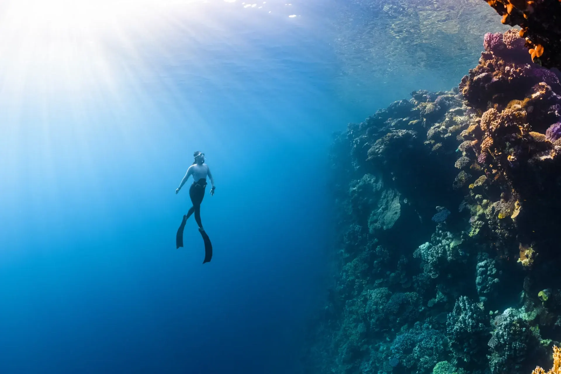 Luz del sol sobre una persona nadando junto a un arrecife del mar Rojo